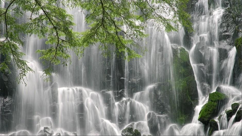 阴暗森林